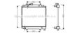 PRASCO DU2058 Radiator, engine cooling
